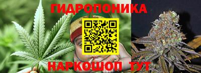 мяу мяу мука Апшеронск