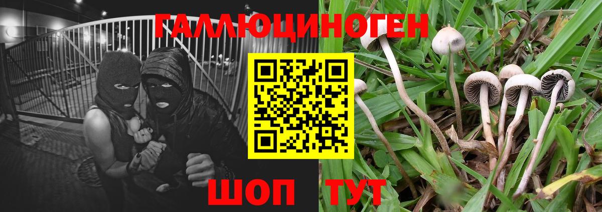 Галлюциногенные грибы Magic Shrooms Боровичи