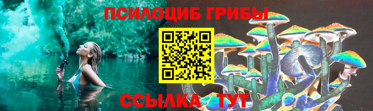 Боровичи  Псилоцибиновые грибы прущие грибы  Вход с VPN 