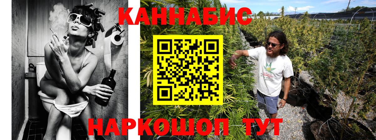 Бошки Шишки семена Боровичи