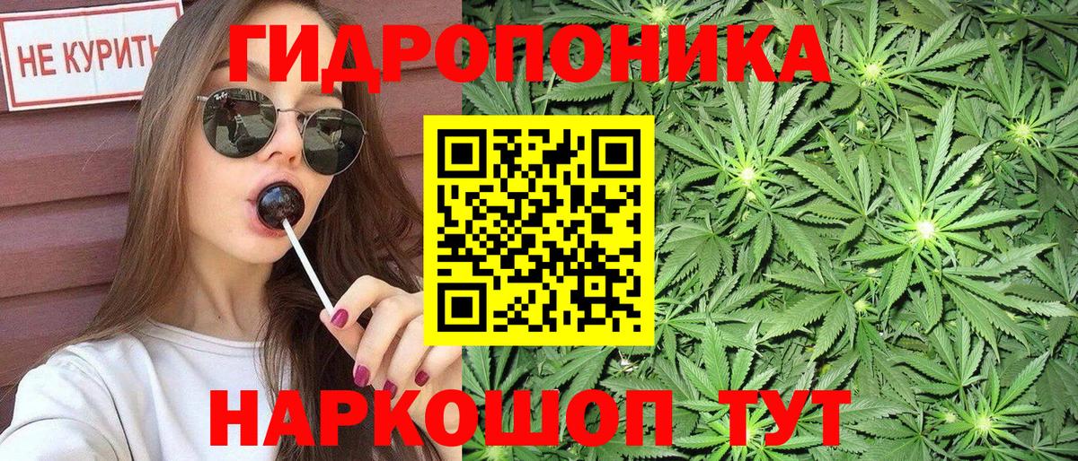 МАРИХУАНА White Widow  Вход с VPN  Боровичи  МАРИХУАНА OG Kush  Бошки Шишки планчик  Конопля THC 21% 